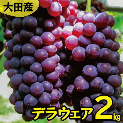 【果物 フルーツ ぶどう】 デラウェア 2kg 約11〜14房 国産 島根県産 大田市 期間限定 季節限定 ブドウ くだもの プレゼント 特産品 お取り寄せ グルメ