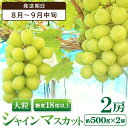【ふるさと納税】 シャインマスカット 2房入り 約500g 2房入り 大粒 糖度18度以上 ぶどう 8月〜9月中旬 期間限定 季節限定 ブドウ 果物 くだもの ...