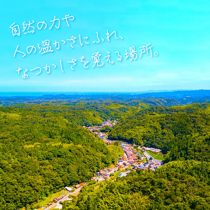 【ふるさと納税】 島根県大田市の対象施設で使える楽天トラベルクーポン寄付額200,000円