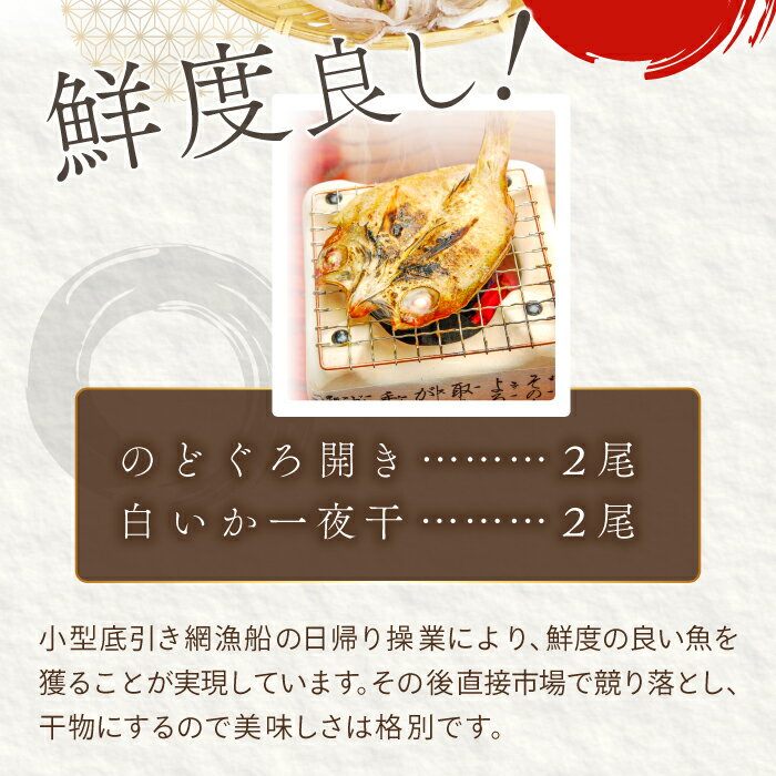 【ふるさと納税】 ノドグロ・白イカ一夜干セット のどぐろ干物 2尾 1尾あたり140〜160g 白イカ干物 2尾 1尾あたり140g前後 島根県産 大田市産 ノドグロ 白いか 干物 烏賊 のどぐろ のど黒 あかむつ アカムツ 高級魚 ケンサキイカ 真空パック 冷凍