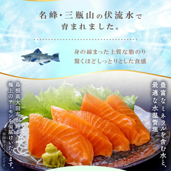 【ふるさと納税】 さんべサーモン 400g 1パック サーモンフィレ サーモントラウト ニジマス サーモン 刺身 鮭 しゃけ sake 真空パック 冷凍 生食 生食用 お刺身 お寿司 カルパッチョ 家庭料理 パーティ料理 お祝い おもてなし 贈り物 ギフト のし対応 島根県 大田市