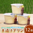 【ふるさと納税】手造りプリン12個セット【冷蔵 ネッカ牛乳 ネッカ卵 蒸しプリン ソース別 お取り寄せ わたなべ牧場】