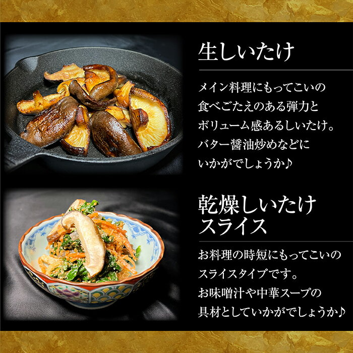 【ふるさと納税】 じょうとうじい茸3袋セット しいたけ 椎茸 城東化成 乾燥しいたけ 干ししいたけ スライス