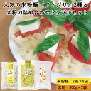【ふるさと納税】人気の米粉麺(フィジリ)2種と米粉の詰め合わせシンプルセット(10袋入)【フジッリ 米粉100% 小麦不使用 きぬむすめ アレルギー 麺 麺類 ...