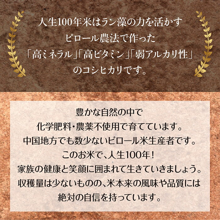 セレクト6（5663）濃口醤油【五穀芳醇 五穀しょうゆ　500ml × 3本】+ だし醤油【瀬戸内そだち　500ml × 3本】【メーカー直送通販】【楽ギフ_包装選択】【楽ギフ_のし宛書】【引越し祝い ギフト 贈答 内祝い 引き出物 法事】