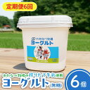 【ふるさと納税】【定期便6回】ヨーグルト500g(プレーン)6個セット【無糖 ネッカ牛乳 ノンホモ製法 セット 搾りたて 栄養 こだわり おやつ デザート 朝食 スイーツ 自然派 化学合成物質不使用 安心 乳製品 乳酸菌 腸活 健康 定期便 島根県 安来市】