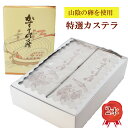 【ふるさと納税】特選 カステラ 2本 / ギフト 500g × 2本 鎌本製菓