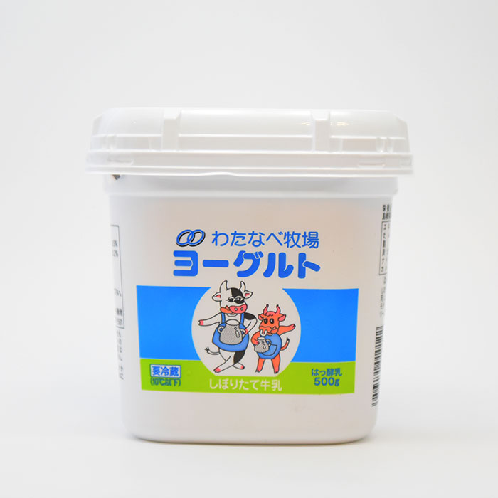 【ふるさと納税】ヨーグルト500g（プレーン）6個セット【無糖 ネッカ牛乳 ノンホモ製法乳製品 新生活 朝食 モーニング】