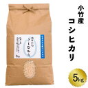 3位! 口コミ数「0件」評価「0」小竹産コシヒカリ 5kg【精米 島根県 安来市 おいしい お米】