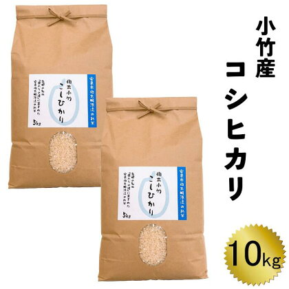 小竹産コシヒカリ 10kg【5kg 2袋 精米 島根県 安来市 おいしい お米】