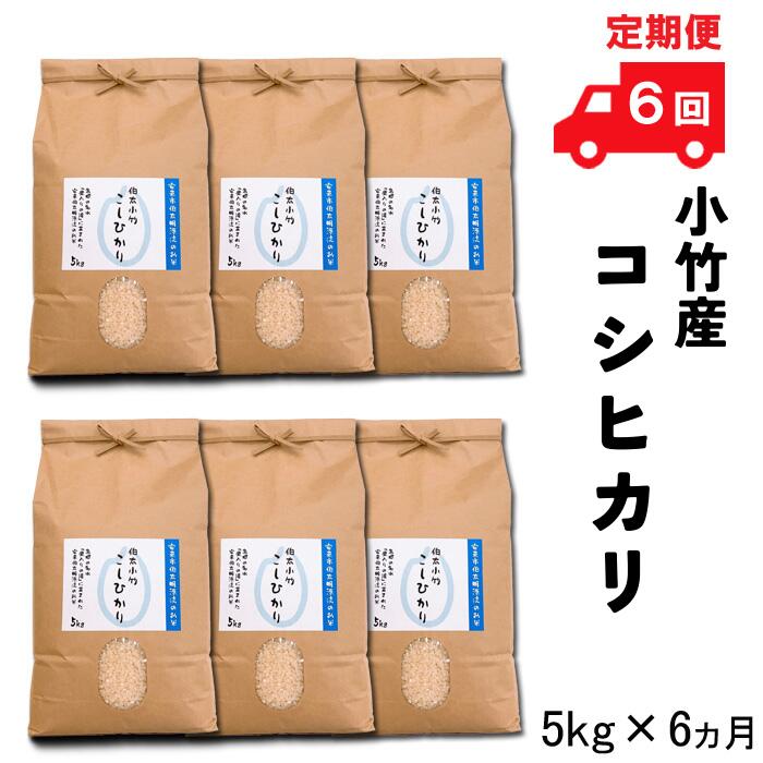 4位! 口コミ数「0件」評価「0」【定期便】小竹産コシヒカリ 5kg×6ヵ月 【精米 島根県 安来市 おいしい お米】