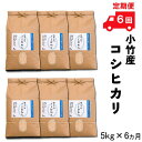 【ふるさと納税】【定期便】小竹産コシヒカリ 5kg×6ヵ月 【精米 島根県 安来市 おいしい お米】