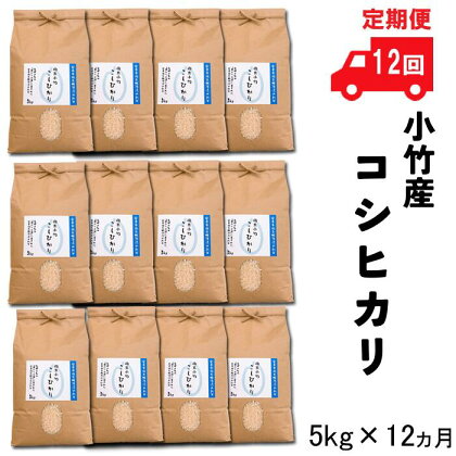 【定期便】小竹産コシヒカリ 5kg×12ヵ月 【60kg 精米 島根県 安来市 おいしい お米】