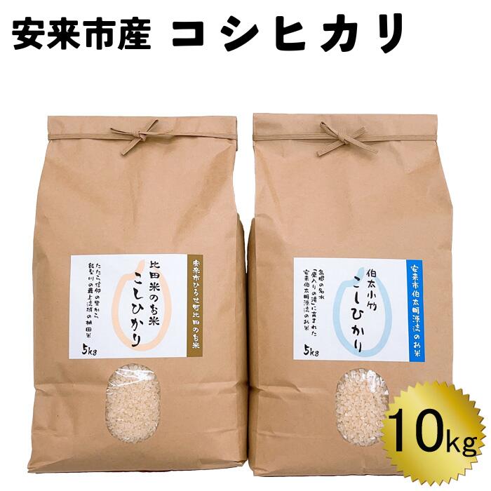 安来市産コシヒカリ 10kg[5kg 2袋 精米 島根県 安来市 おいしい お米]