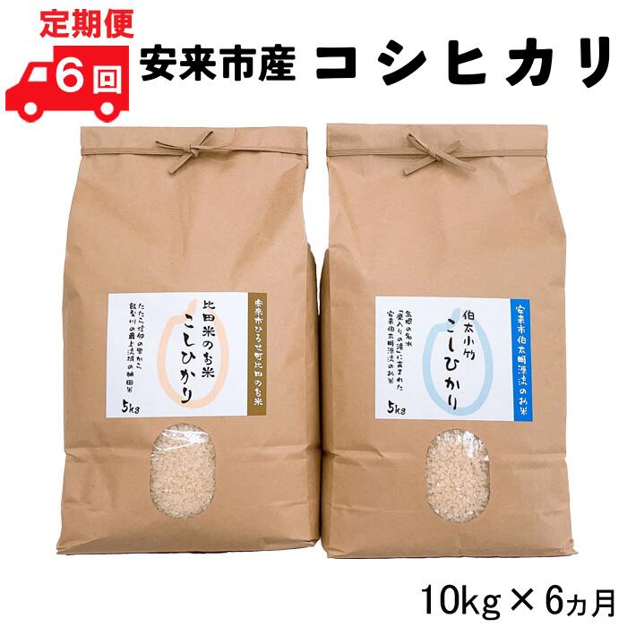 [定期便]安来市産コシヒカリ 10kg×6ヵ月 [5kg 2袋 精米 島根県 安来市 おいしい お米]