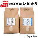 17位! 口コミ数「0件」評価「0」【定期便】安来市産コシヒカリ 10kg×6ヵ月 【5kg 2袋 精米 島根県 安来市 おいしい お米】