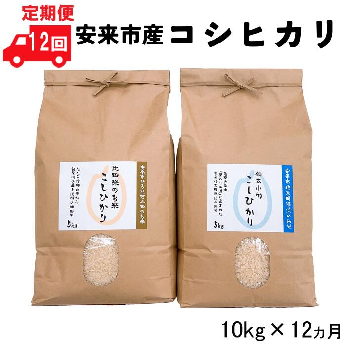 【ふるさと納税】【定期便】安来市産コシヒカリ 10kg×12ヵ月 【5kg 2袋 精米 島根県 安来市 おいしい お米】