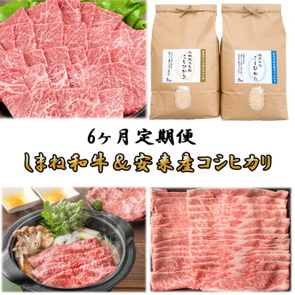 【定期便】しまね和牛＆安来市産コシヒカリ 6ヵ月便　令和5年産 【米 10kg 5kg 2袋 精米 カルビ 肩バラ モモ 肉 焼肉 すき焼き しゃぶしゃぶ 島根県 安来市 おいしい お米】