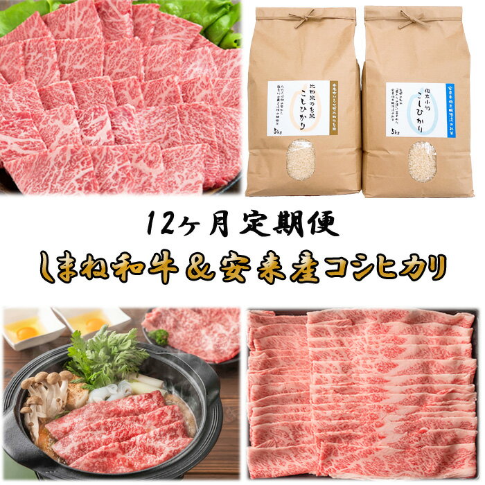 【ふるさと納税】【定期便】しまね和牛＆安来市産コシヒカリ 12ヵ月便［令和5年産］【米 10kg 5k g2袋 精米 カルビ 肩バラ モモ 肉 焼肉 すき焼き しゃぶしゃぶ 島根県 安来市 おいしい お米】