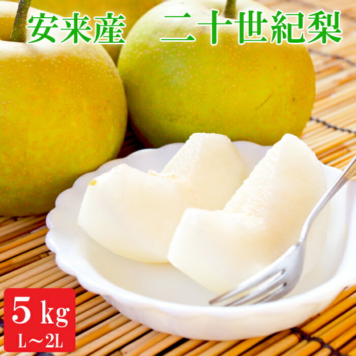 【ふるさと納税】安来産 二十世紀梨 L~2L 5kg【16～18玉 予約 先行予約 早期予約 期間限定 島根県】のサムネイル