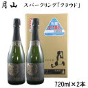 6位! 口コミ数「0件」評価「0」 月山 スパークリング 「 クラウド 」720ml × 2本 炭酸 酒 清酒 ギフト 包装 熨斗対応可