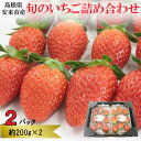 15位! 口コミ数「0件」評価「0」農場長厳選の美味しいいちご 400g 200g×2パック 苺 詰め合わせ 島根県 安来市産 かおり野 紅ほっぺ よつぼし セット