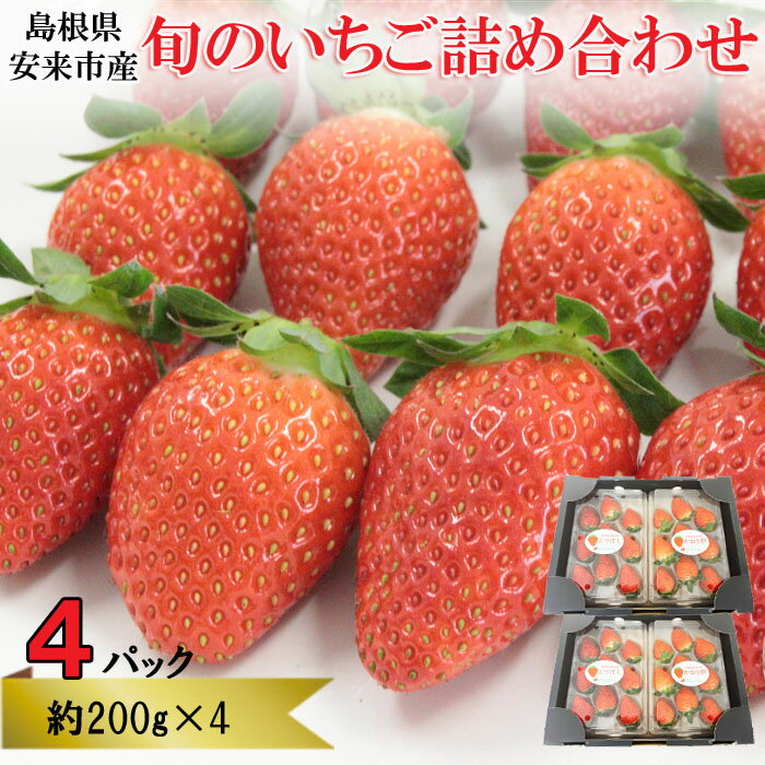 【ふるさと納税】農場長厳選の美味しいいちご 800g 200g×4パック 苺 詰め合わせ 島根県 安来市産 かおり野 紅ほっぺ よつぼし セット