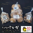 【ふるさと納税】 じょうとうじい茸2袋セット 【しいたけ 椎茸 城東化成 乾燥しいたけ 干ししいたけ スライス きのこ キノコ セット 安全 おいしい 国産 島根県 安来市】