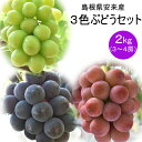 【ふるさと納税】安来産3色ぶどうセット 2kg /【8月中旬〜9月上旬発送】 / 3〜4房 ピオーネ 巨峰 クインニーナ 安芸クイーン シャインマスカット 瀬戸...