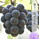 【ふるさと納税】種なし ピオーネ 2kg【8月中旬〜9月下旬発送】/ 3〜4房 ぶどう 先行受付 大粒 先行 予約 フルーツ 島根県 安来市産 数量限定