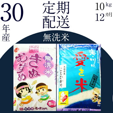 【ふるさと納税】BG無洗米(定期)きぬコシ 10kg/12ヵ月 米 無洗米 定期 島根県