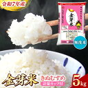 【ふるさと納税】BG無洗米 金芽米 きぬむすめ 5kg /令和7年産 節水 健康 ビタミン ミネラル つや お弁当 おいしい うまみ 甘み ふっくら 時短 簡単 島根県 安来市【価格改定】