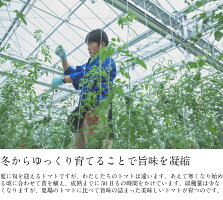 【ふるさと納税】MINORI3パックセットフルーツトマトトマトアイメック甘い