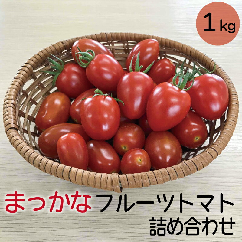 【予約受付：発送は令和6年5月下旬～】まっかな フルーツ トマト 詰め合わせ 1kg