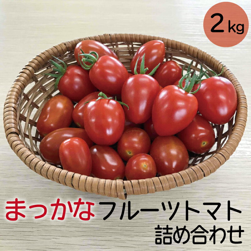 【予約受付：発送は令和6年5月下旬～】まっかな フルーツ トマト 詰め合わせ 2kg