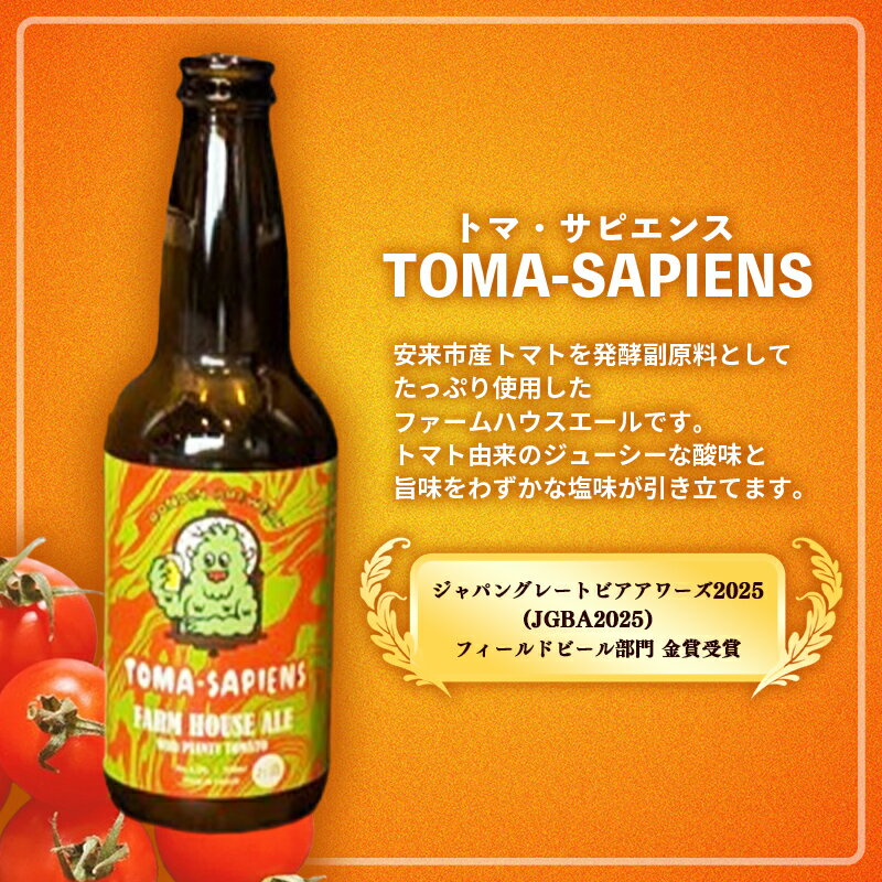 【ふるさと納税】オリジナル クラフトビール 3種×2本 計6本セット【島根県 安来市 クラフトビール 発泡酒 瓶ビール ビン 地ビール トマト 亀治米 月山 酒粕 仕込水 使用 飲み比べ 晩酌】