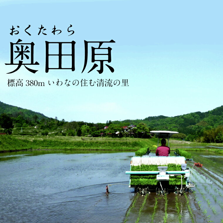 【ふるさと納税】 ＜定期便＞ こりゃう米(まい) 白米 5kg × 3回 隔月 ／ 米 令和5年産 こりゃうまい コシヒカリ 中山間地 清流 高地 水