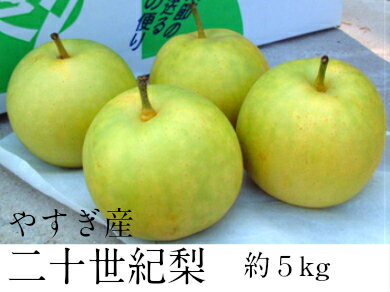 記事番号:33397/アイテムID:357678の画像