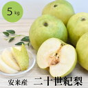 【ふるさと納税】二十世紀梨 5kg / 先行受付 2025年発送 梨 なし ナシ 20世紀 美味しい みずみずしい 期間限定 先行予約