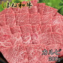  しまね和牛 牛カルビ 500g ／ 焼肉 柔らか 牛肉 肉 島根 和牛 ブランド 全国和牛能力共進会 2022 肉質 1位