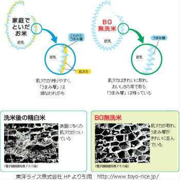 【ふるさと納税】定期便 米 BG無洗米 きぬむすめ コシヒカリ 10kg×3ヵ月 食べ比べ 島根県 令和3年産