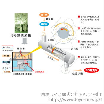 【ふるさと納税】BG無洗米(定期)きぬコシ 10kg/12ヵ月 米 無洗米 定期 島根県