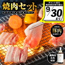 【ふるさと納税】 【9/30迄の限定寄附額】まる姫ポーク 焼肉セット ( ロース ・ バラ ・ モモ ・ 粗挽きソーセージ (スモークもしくはノンスモーク)・ めしガッツリ焼肉のタレ ) 【AK-2】 国産 豚肉 ぶた肉 ぶたにく 肉 精肉 小分け 焼肉 やきにく バーベキュー 冷蔵