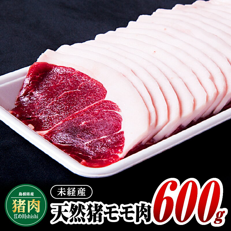 12位! 口コミ数「0件」評価「0」江の川shishi 未経産 猪肉 600g AI-1【いのしし肉 イノシシ肉 モモ肉 ジビエ メス 鍋】