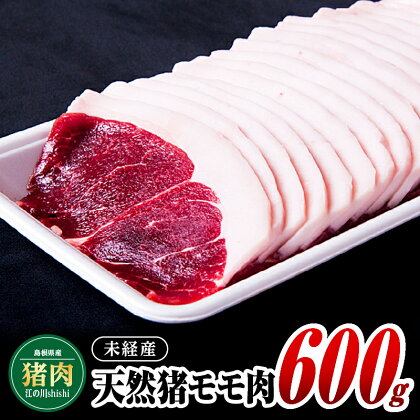 江の川shishi 未経産 猪肉 600g AI-1【いのしし肉 イノシシ肉 モモ肉 ジビエ メス 鍋】