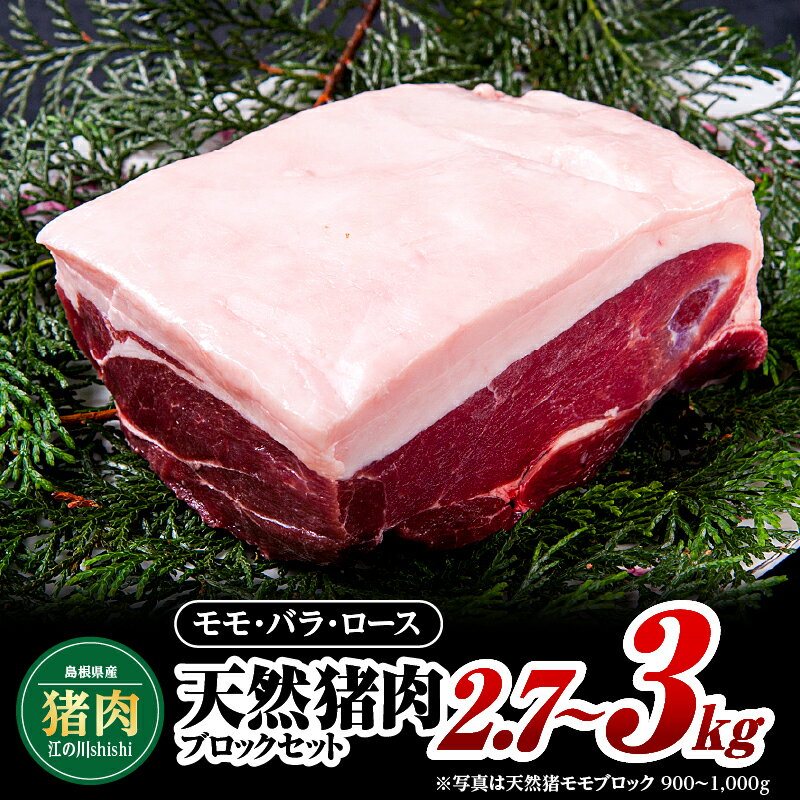 江の川shishi ブロックセット 2.7kg〜3kg AI-3[猪肉 いのしし肉 イノシシ肉 ジビエ スジ無し 煮込み用 角煮 焼肉用]