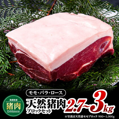 江の川shishi ブロックセット 2.7kg〜3kg AI-3【猪肉 いのしし肉 イノシシ肉 ジビエ スジ無し 煮込み用 角煮 焼肉用】