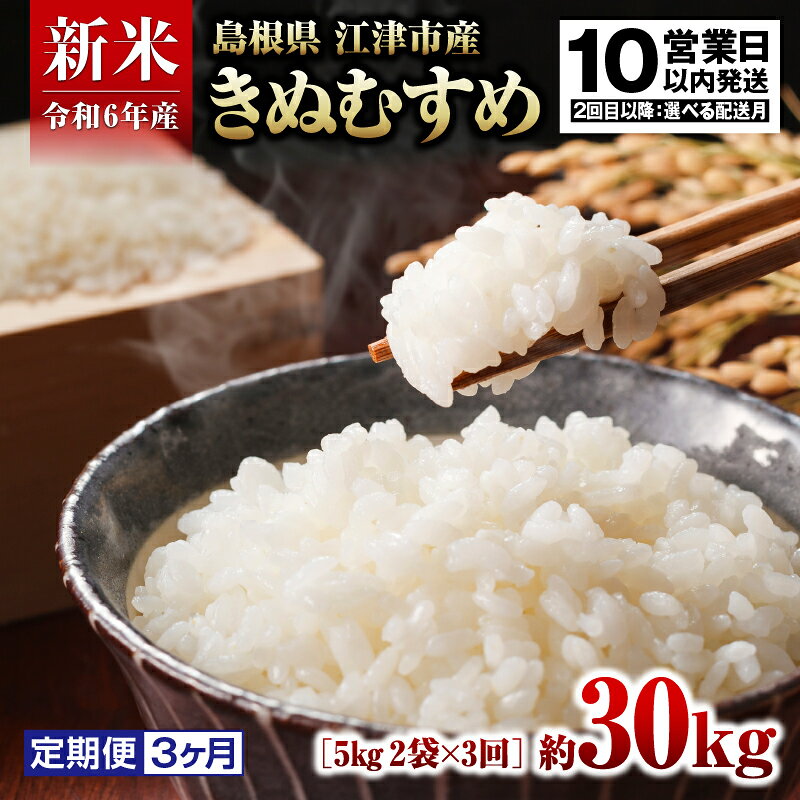 【定期便】R6産（新米）島根県 江津市産 邑智郡産 きぬむすめ10kg 3ヵ月定期便【FY-4】｜送料無料 令和6産 新米 白米 島根県 江津市産 お米 精米 こめ おこめ 米 定期便 3カ月 10キロ 美味しい｜
