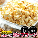 【ふるさと納税】ジェリーズポップコーン Mサイズ1袋&Sサイズ4袋セット 5種類のフレーバー【キャラメル・旨塩・チョコバナナ・いちごミルク・北海道バターしょうゆ...