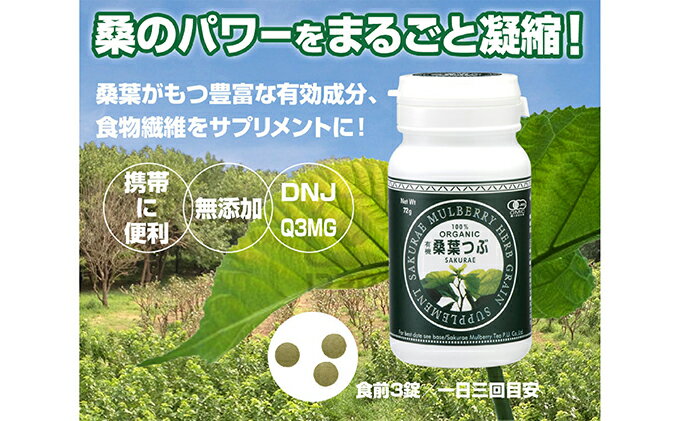 【ふるさと納税】有機桑葉つぶセット（360粒×3本）　【飲料類 お茶】